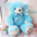 Plush Teddy Bear Hug Bear Teddy Bear Doll